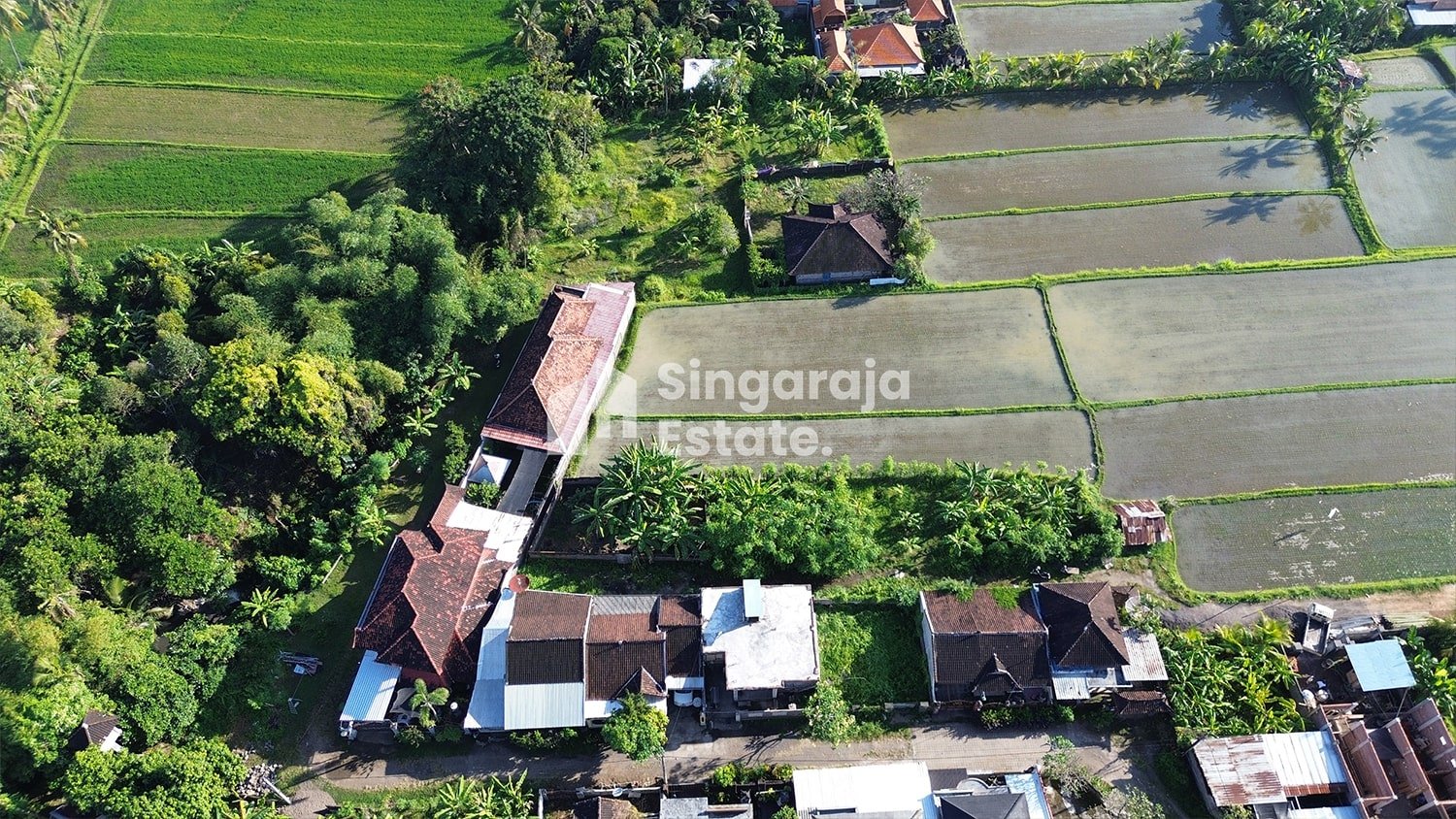 18 Are Land with Rice Field View Just 7 Mins to Singaraja City - Image 5